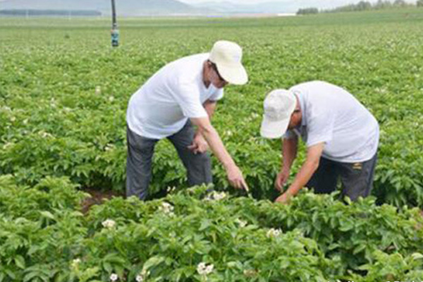 长治优良氮钾追肥公司