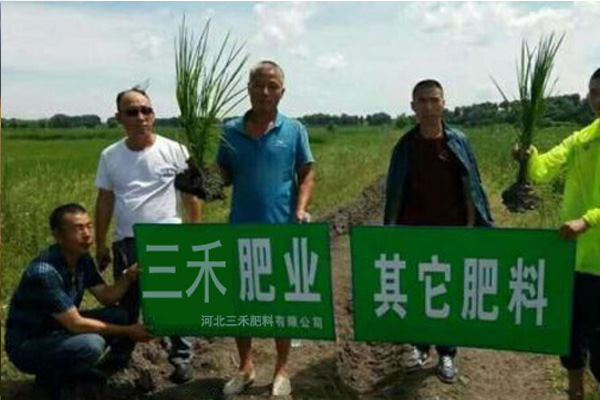 长治优良氮钾追肥公司