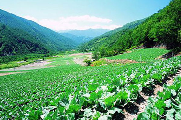 甘肃优良掺混肥料价格