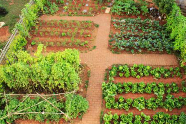 庆阳优良双效脲铵厂家