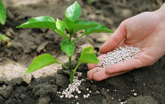 1565664325138899.png image.png