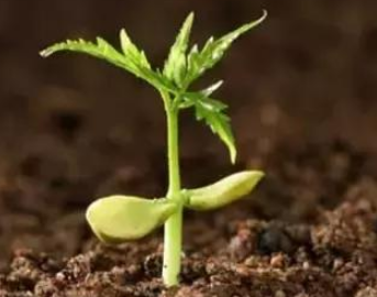 7026am威尼斯,7026am威尼斯,7026am威尼斯 7026am威尼斯,7026am威尼斯,7026am威尼斯