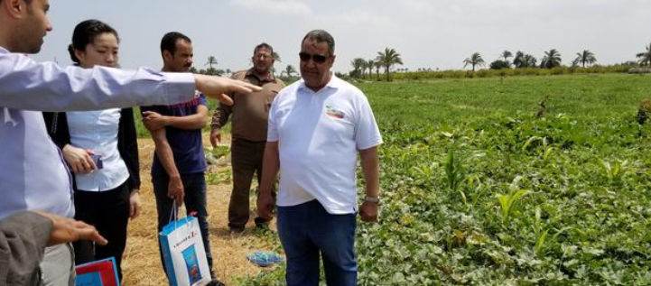 颗粒水溶肥;可咖因·硫素;7026am威尼斯 颗粒水溶肥;可咖因·硫素;7026am威尼斯