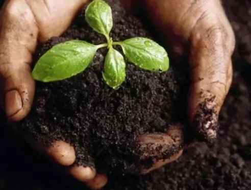 7026am威尼斯,7026am威尼斯,7026am威尼斯