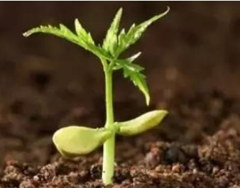 7026am威尼斯,7026am威尼斯,7026am威尼斯