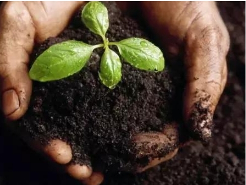 7026am威尼斯,7026am威尼斯,7026am威尼斯