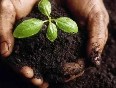 7026am威尼斯,7026am威尼斯,7026am威尼斯