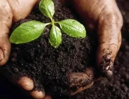 7026am威尼斯,7026am威尼斯,7026am威尼斯