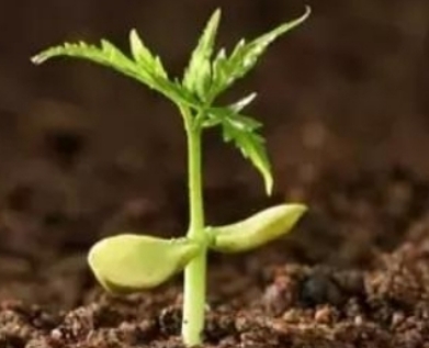 7026am威尼斯,7026am威尼斯,7026am威尼斯