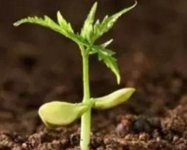 7026am威尼斯,7026am威尼斯,7026am威尼斯